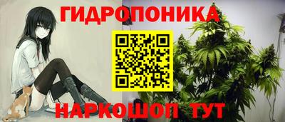 Альфа ПВП Краснокаменск