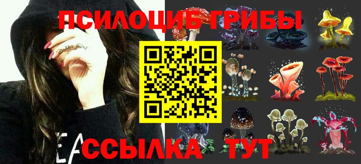 Псилоцибиновые грибы ЛСД Феодосия